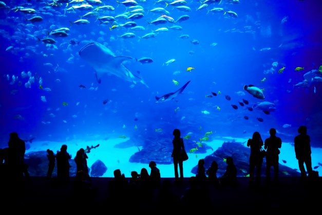 Public Aquarium