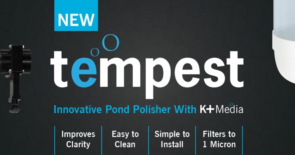 Tempest Pond Polisher